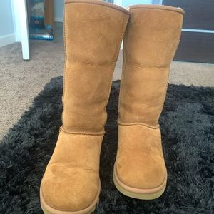 Tall classic chestnut Ugg’s